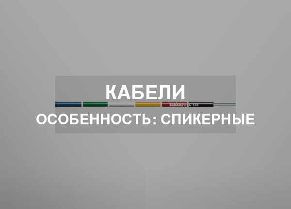 Особенность: Спикерные